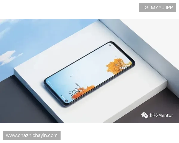 如何在K7真人网站快速完成会员注册流程及注册成功后的权益