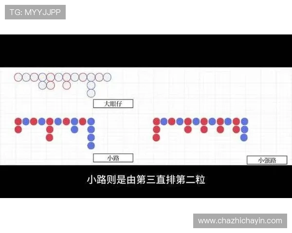 如何利用百家乐下三路图解进行科学分析实现持续盈利的实用技巧分享